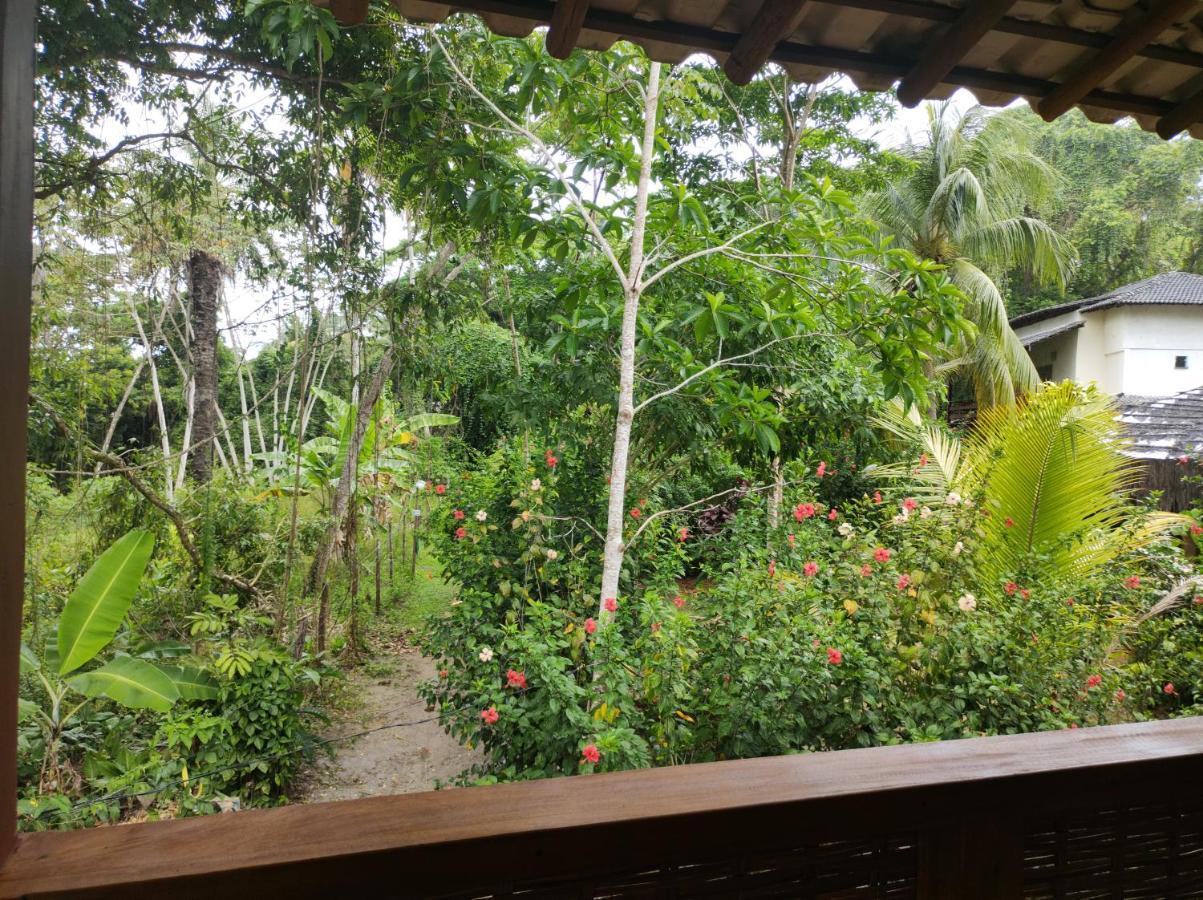 Hotel Campos Elisios Boipeba Velha Boipeba Exteriér fotografie
