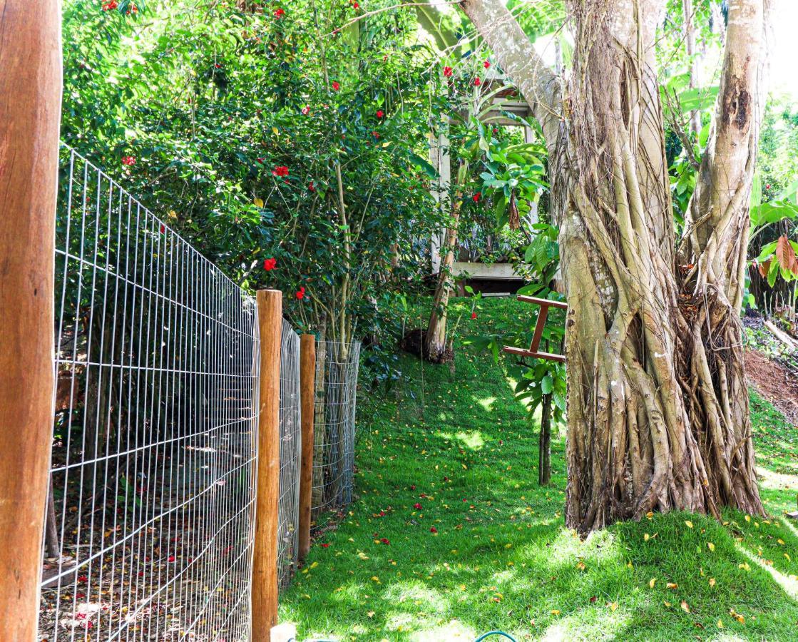 Hotel Campos Elisios Boipeba Velha Boipeba Exteriér fotografie